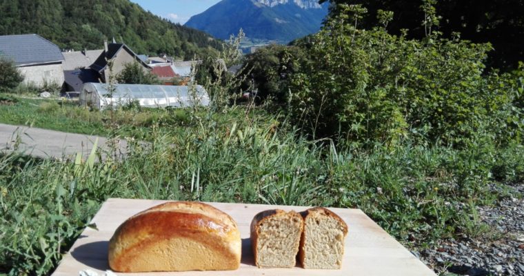 Hmmm… la brioche de Sainte Luce