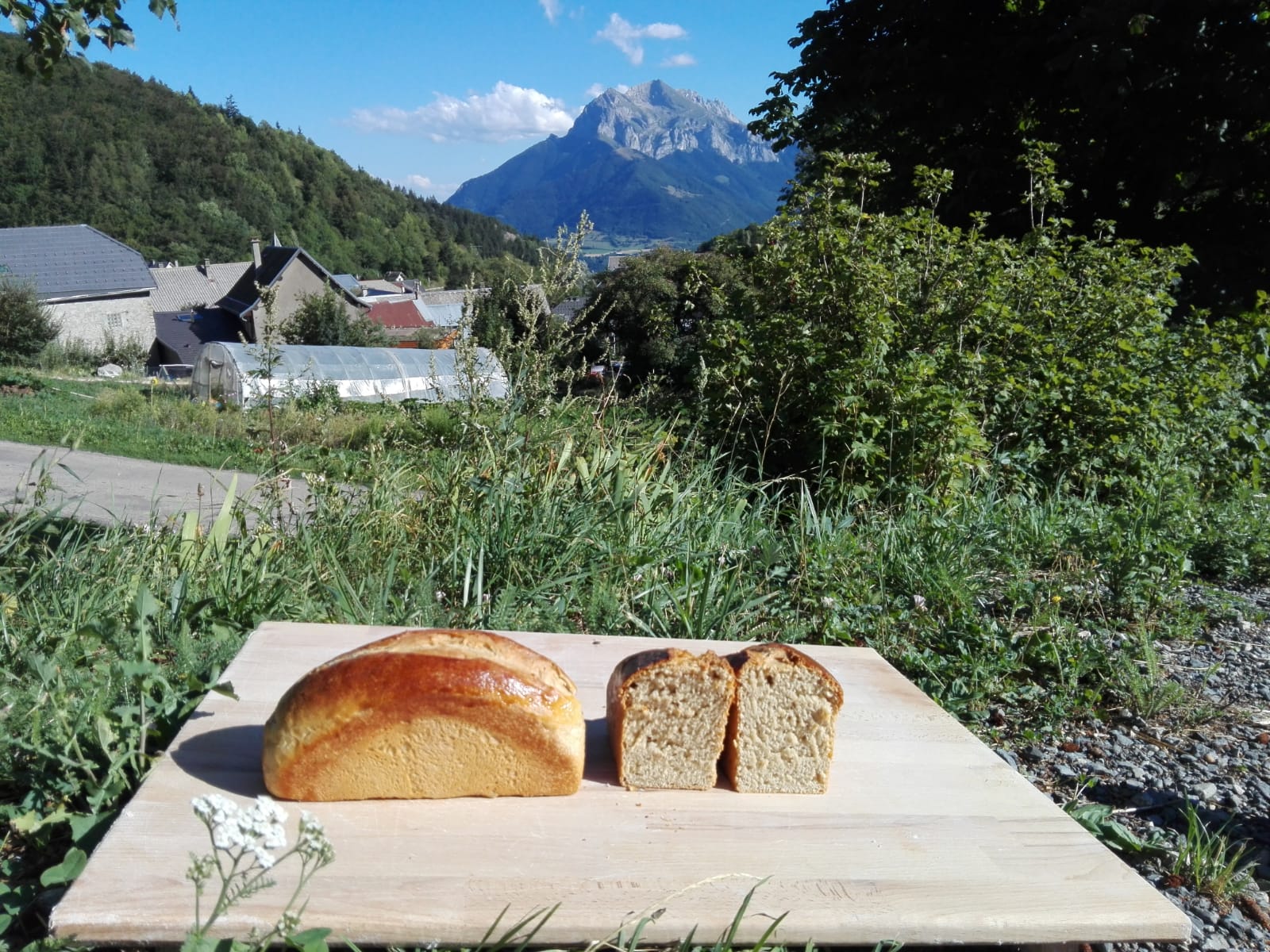 Hmmm… la brioche de Sainte Luce