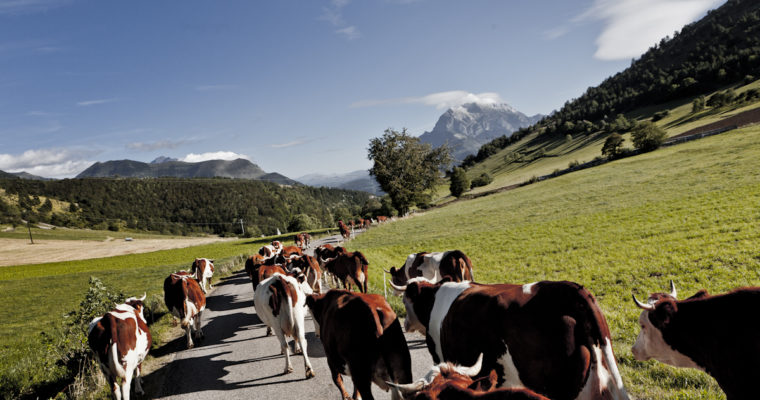 La ferme recrute !