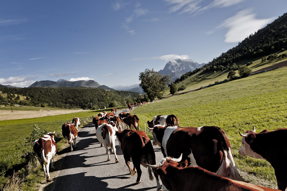 La ferme recrute !