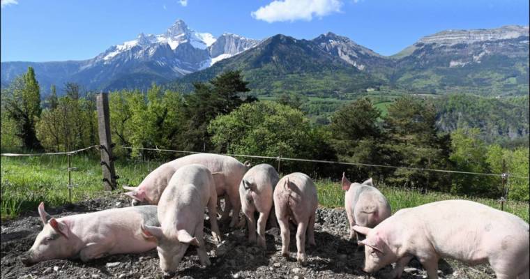 La Ferme de Sainte Luce dans Villages et Patrimoines