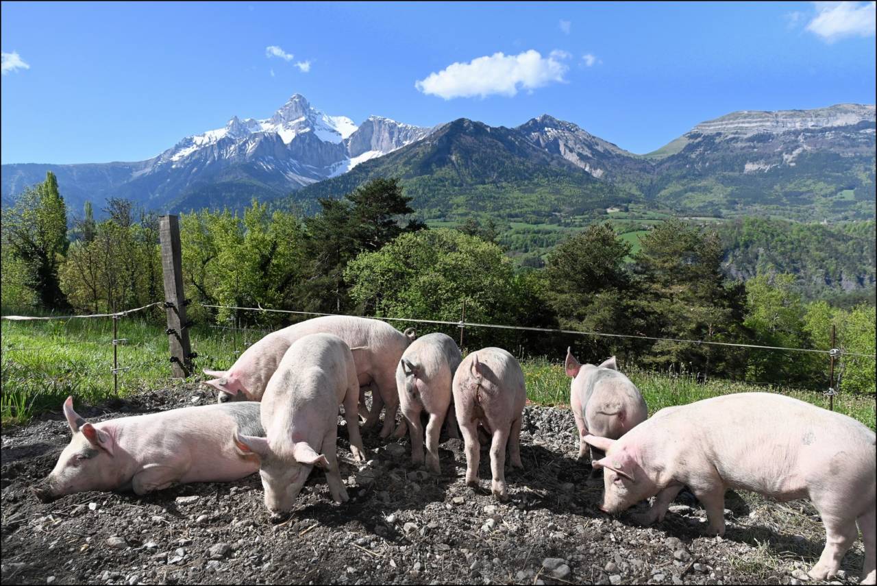 La Ferme de Sainte Luce dans Villages et Patrimoines