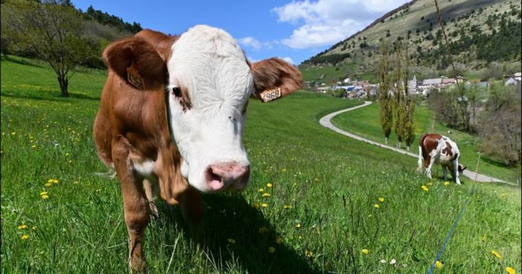 Réservez vos visites de ferme en ligne !
