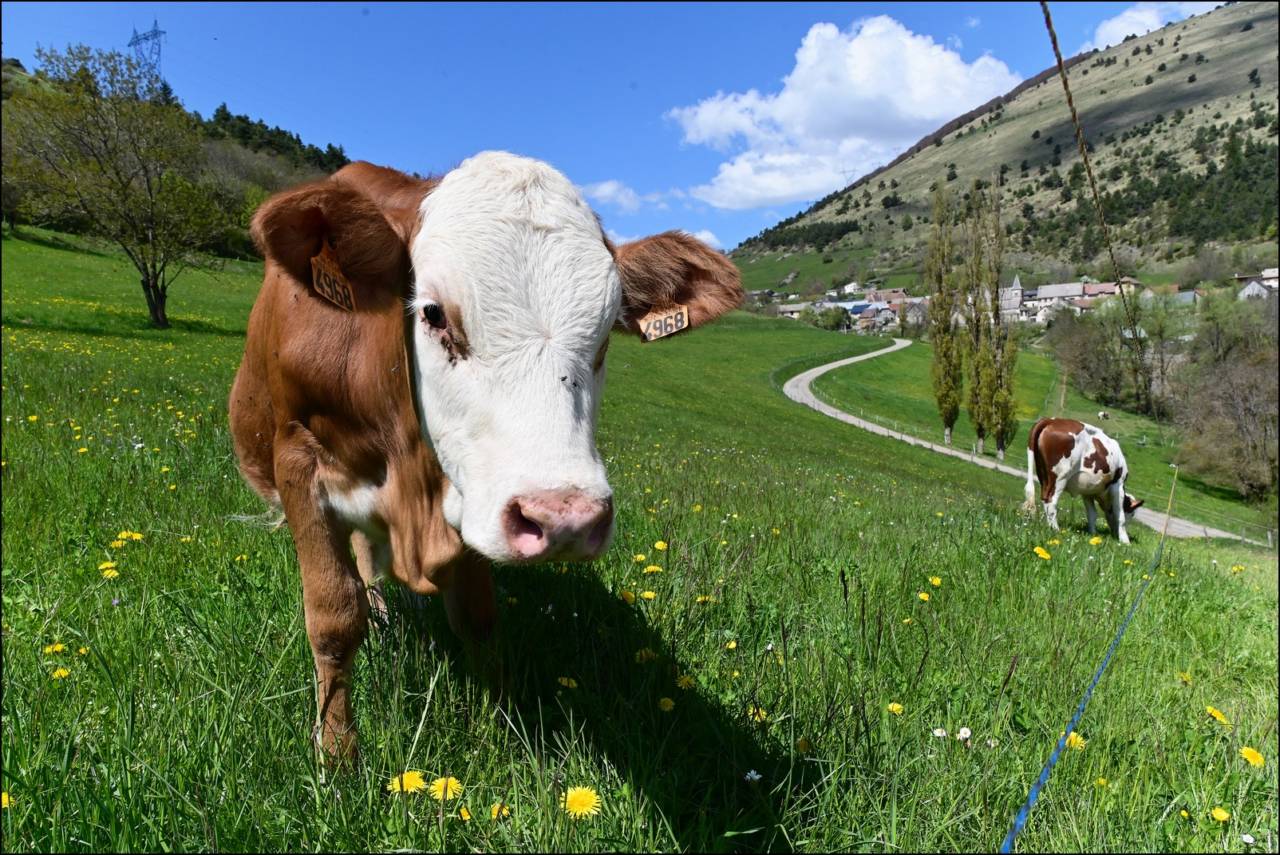 Réservez vos visites de ferme en ligne !
